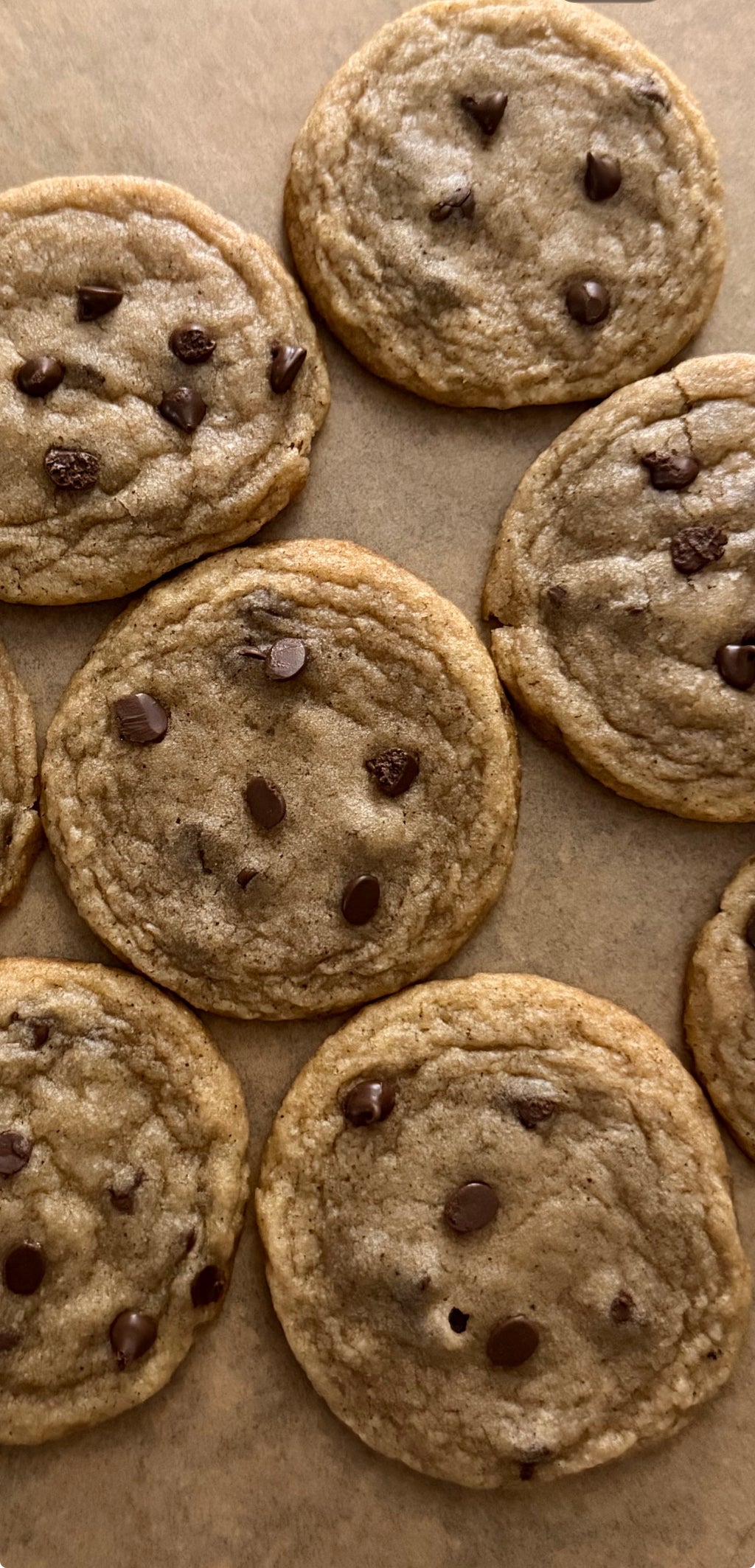 Brown Butter Chocolate Chip